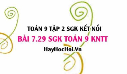 Bài 7.29 SGK Toán 9 tập 2 Kết nối tri thức